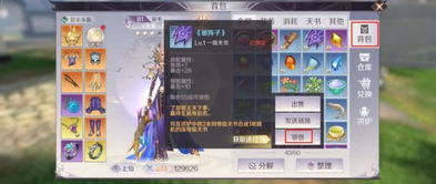 君子堂四内忘情天书全解析，2026年最新修炼路线与实战搭配指南