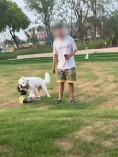 交警回应，一男子骑狗上路引围观，已对其进行批评教育