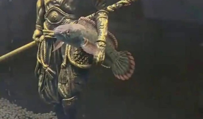 黑神话钟馗实机幕后揭秘,切鱼剁肉竟全用真刀真枪! 黑神话钟馗实机幕后揭秘,切鱼剁肉竟全用真刀真枪!