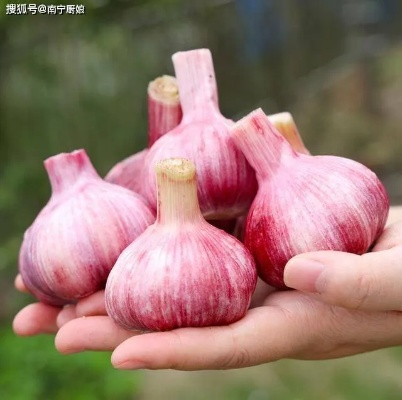 别学错了！2026年德州扑克高手都在偷偷用的4个变态技巧