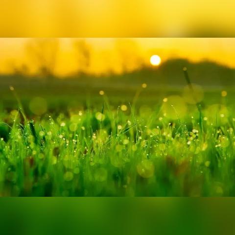 毁灭术士输出手法7.35，混乱之箭流大秘境冲层为何成版本答案？