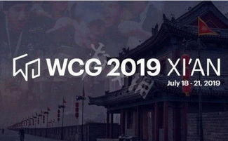 为什么WCG2007被称为人皇悲情夜? 为什么WCG2007被称为人皇悲情夜?