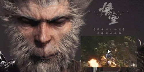 黑神话,悟空凭什么再登央视?老外付费认可的实力在哪? 黑神话,悟空凭什么再登央视?老外付费认可的实力在哪?