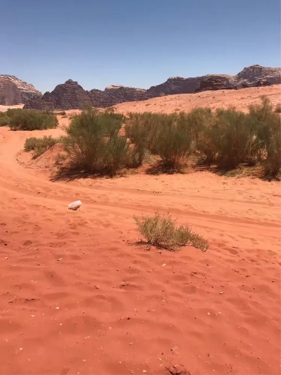 红色沙漠开发商股价暴跌近30% 评价差或致重新创作 红色沙漠开发商股价暴跌近30% 评价差或致重新创作