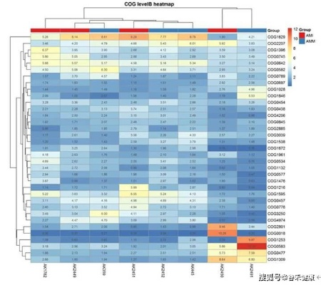 Bluehole类型的基因图谱，超越玩法的底层逻辑