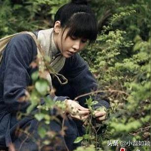 一、精绝女王三阶段行为模式与致命机制