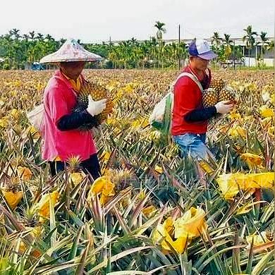 使命召唤任务怎么做？2026最新赛季任务速刷与武器解锁全攻略