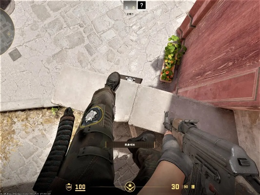 《CS2》据曝正式开发宠物小鸡功能