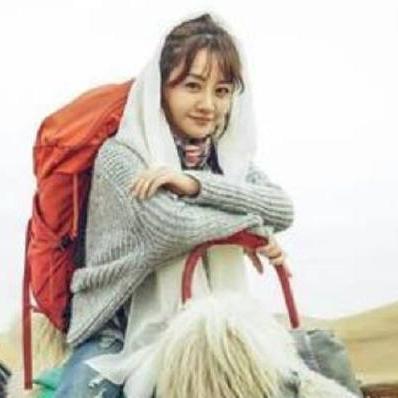 《红色沙漠》谜题太难引吐槽 首日补丁加文字指引