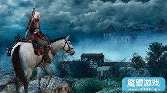 《巫师3》DLC要来了！CDPR暗示未公布项目将发售