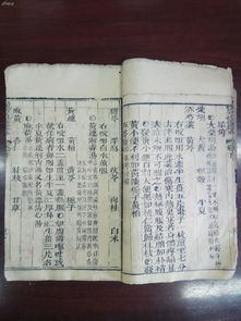 龙爪手古谱类型全解析，从古籍到手游的跨维度修炼手册