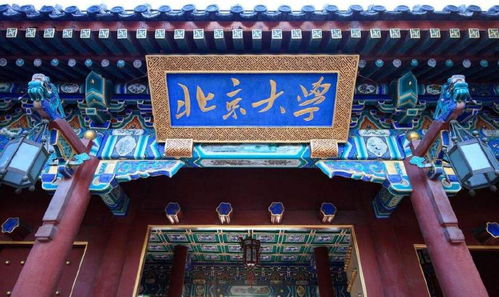 2026年还在盲目搜服？揭秘找sf的网站3大隐藏类型与零踩坑实战指南