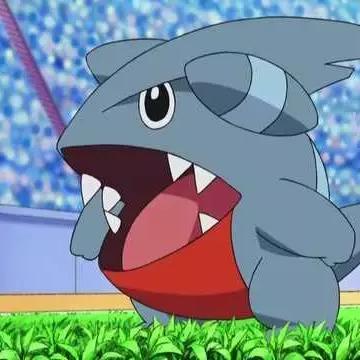 圆陆鲨培养全攻略，从新手到大师的7个核心技巧