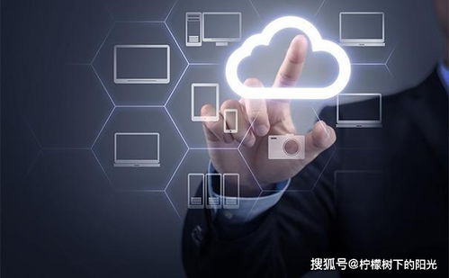 一、下载类型核心分类，别在错误渠道浪费时间