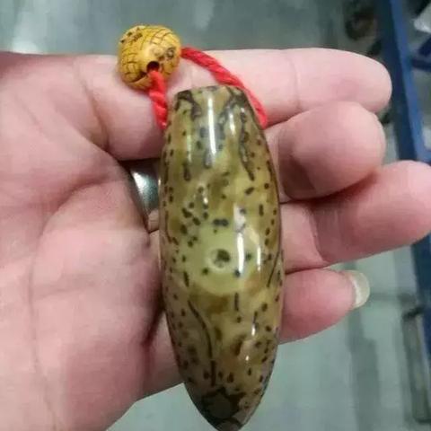 3月27日口袋西游重启，想玩新服菩提的玩家现在就能预约啦！