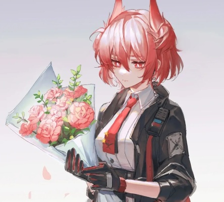 2026晚钟专精材料清单，菲亚梅塔技能升级顺序与模组开启全攻略