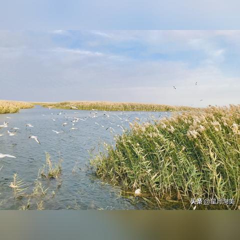 红色沙漠操作逻辑难理解?就像学自行车一样慢慢上手! 红色沙漠操作逻辑难理解?就像学自行车一样慢慢上手!