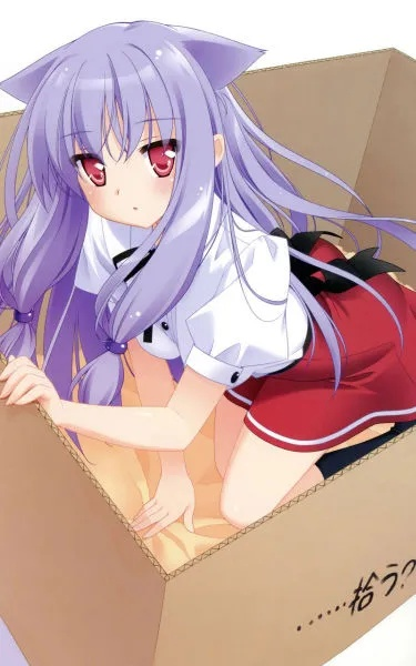 仅需不到十五块！迷途猫系列新史低，100%手绘主播作品闭眼入