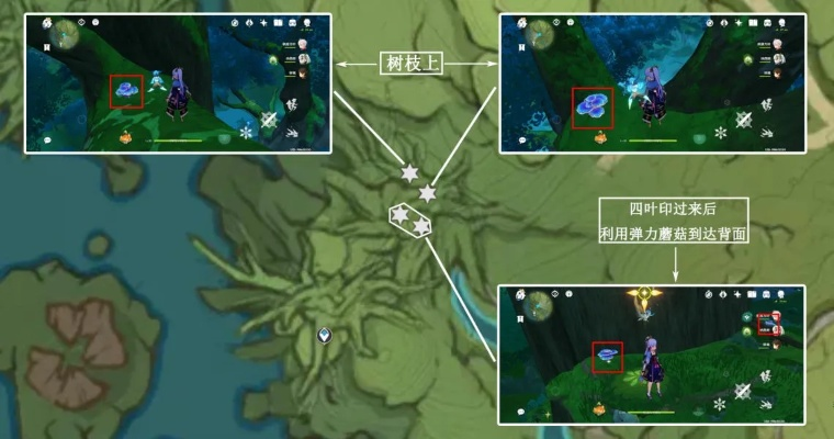 树王圣体菇速刷全攻略，3条隐藏路线+梦境机制解密