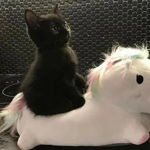 网易黑猫游戏征服老外，东方厂商在这场较量中赢过西方！