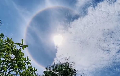 医生建议中午用晒太阳代替午休 不仅补钙还能助眠