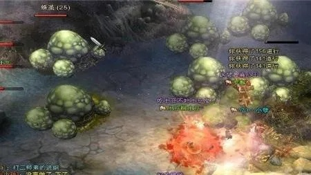 斗战神盘丝洞2026最新机制破解,蛛网阵法毒伤计算与三职业速通黄金配比 斗战神盘丝洞2026最新机制破解,蛛网阵法毒伤计算与三职业速通黄金配比