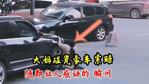 一年撞坏3辆豪车男子疑中邪，医生检查结果令人意外！