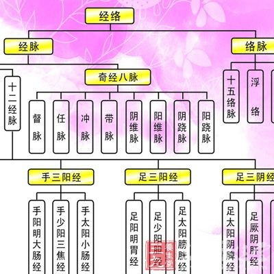 一、经脉类型解构，从线性养成到网状协同