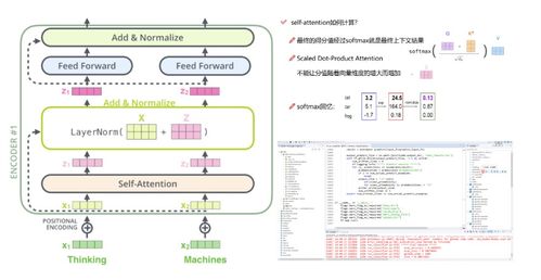 起凡土豆类型深度拆解,从新手到高手的完整进阶路径 起凡土豆类型深度拆解,从新手到高手的完整进阶路径