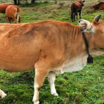 版本考古,为什么0.15.0是PE版的工业时代 版本考古,为什么0.15.0是PE版的工业时代