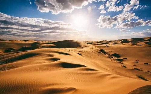 红色沙漠D加密争议，实诚表态，风波未起已平息