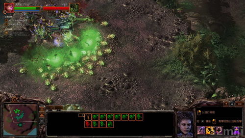 星际争霸2虫群之心破解版风险大？2026年正版免费方案与战役低价获取全攻略