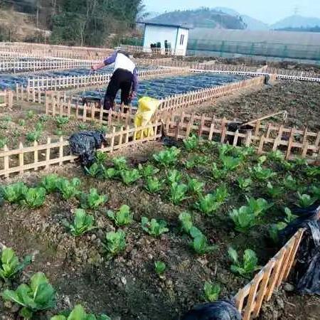 11.1版本魔兽世界天赋深度拆解，从机制原理到大米团本PVP实战