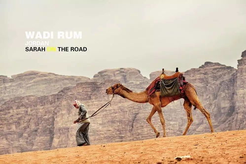 《红色沙漠》1.00.03版更新补丁发布:新增仓库功能 操作逻辑优化! 《红色沙漠》1.00.03版更新补丁发布:新增仓库功能 操作逻辑优化!