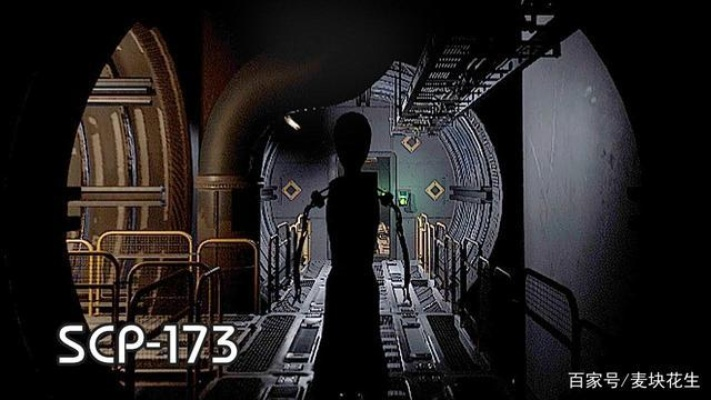 173类型玩家的核心定义与识别标志