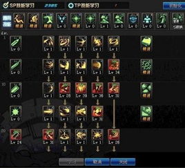 2026黑暗武士加点终极指南，3大流派实测数据揭秘