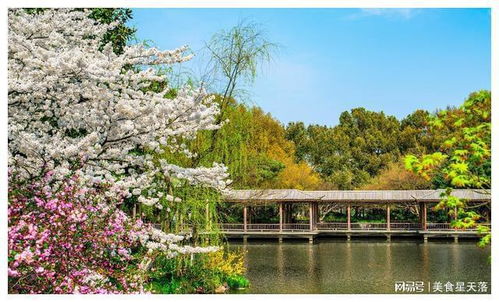 研究类型本质,不是任务,而是动态世界观系统 研究类型本质,不是任务,而是动态世界观系统