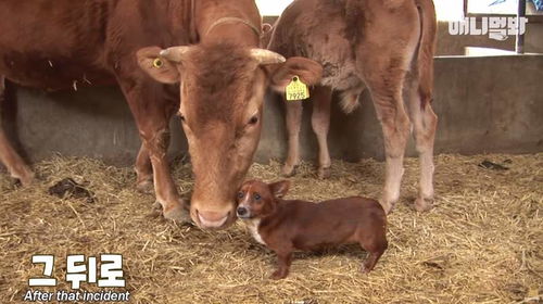 2026年Q1肉鸽生存建造游戏井喷？这5款黑马实测300小时不重复