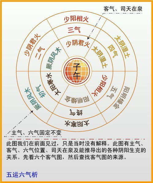 2026年必看，九阴真经内功类型全解析与实战搭配黄金法则