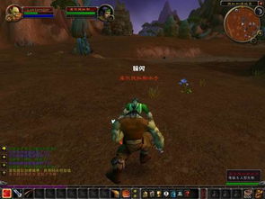 2026奥杜尔成就龙终极抉择，铁锈与铁箍始祖幼龙速通全攻略