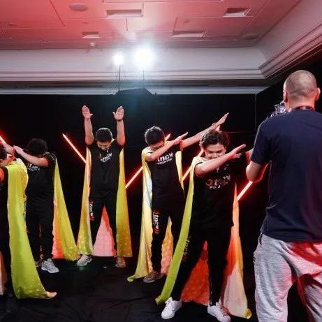 树精卫士为什么胜率暴跌?2026年Q1深度解析与逆袭打法 树精卫士为什么胜率暴跌?2026年Q1深度解析与逆袭打法