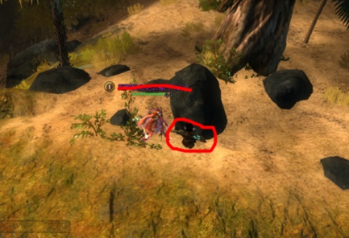 狮子拱门观景点怎么拿全?2026终极攻略,从新手到速通高手 狮子拱门观景点怎么拿全?2026终极攻略,从新手到速通高手