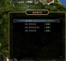 彻底解决龙之谷大区选择灰色失效的5个隐藏技巧