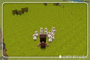 2026年冒险岛私服生存指南，从版本迷雾到稳定养老的终极避坑路线图