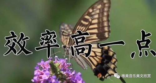 横板动作肉鸽《SlashZero》将于3月27日首测 横板动作肉鸽《SlashZero》将于3月27日首测