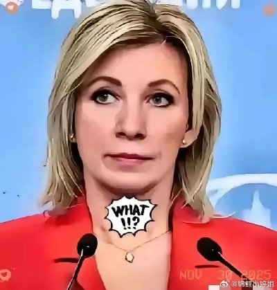 乌美女政客裸照流出真相，2026最新数字隐私攻防技术与法律维权全攻略