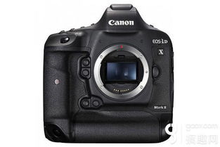 国产新旗舰堪比单反,毛发细节清晰可见 国产新旗舰堪比单反,毛发细节清晰可见