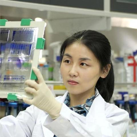 AC米兰铁杆拥趸张雪峰魂归远方 俱乐部发文悼念 AC米兰铁杆拥趸张雪峰魂归远方 俱乐部发文悼念