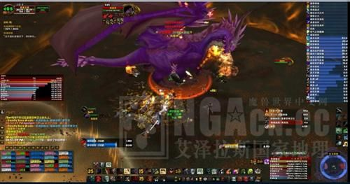 海里昂双世界机制破解，红玉圣殿10人/25人完整战术手册