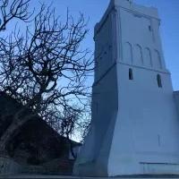 主机版类型全景解析，你的平台选对了吗？